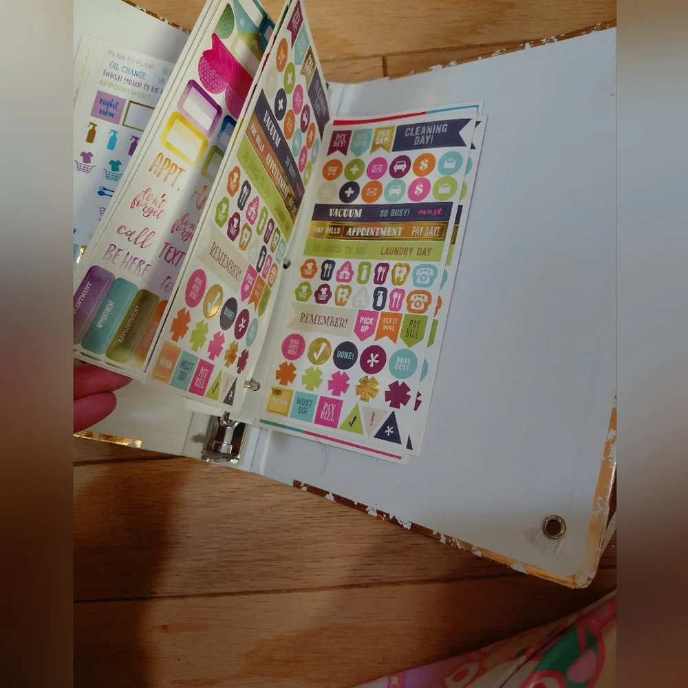 Mini Binder Of Planner Stickers